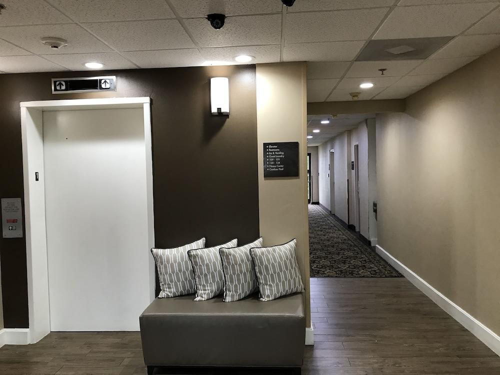 הורן לייק Comfort Inn מראה חיצוני תמונה