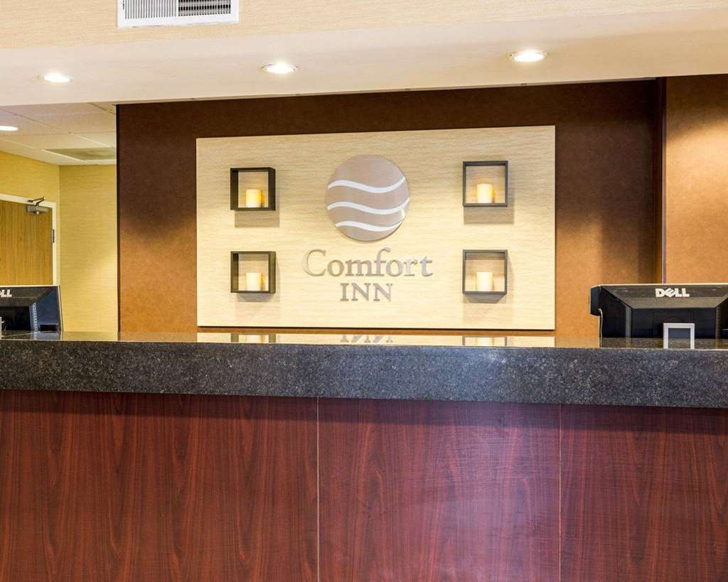 הורן לייק Comfort Inn מראה פנימי תמונה