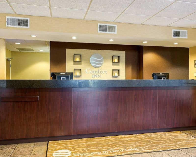 הורן לייק Comfort Inn מראה חיצוני תמונה