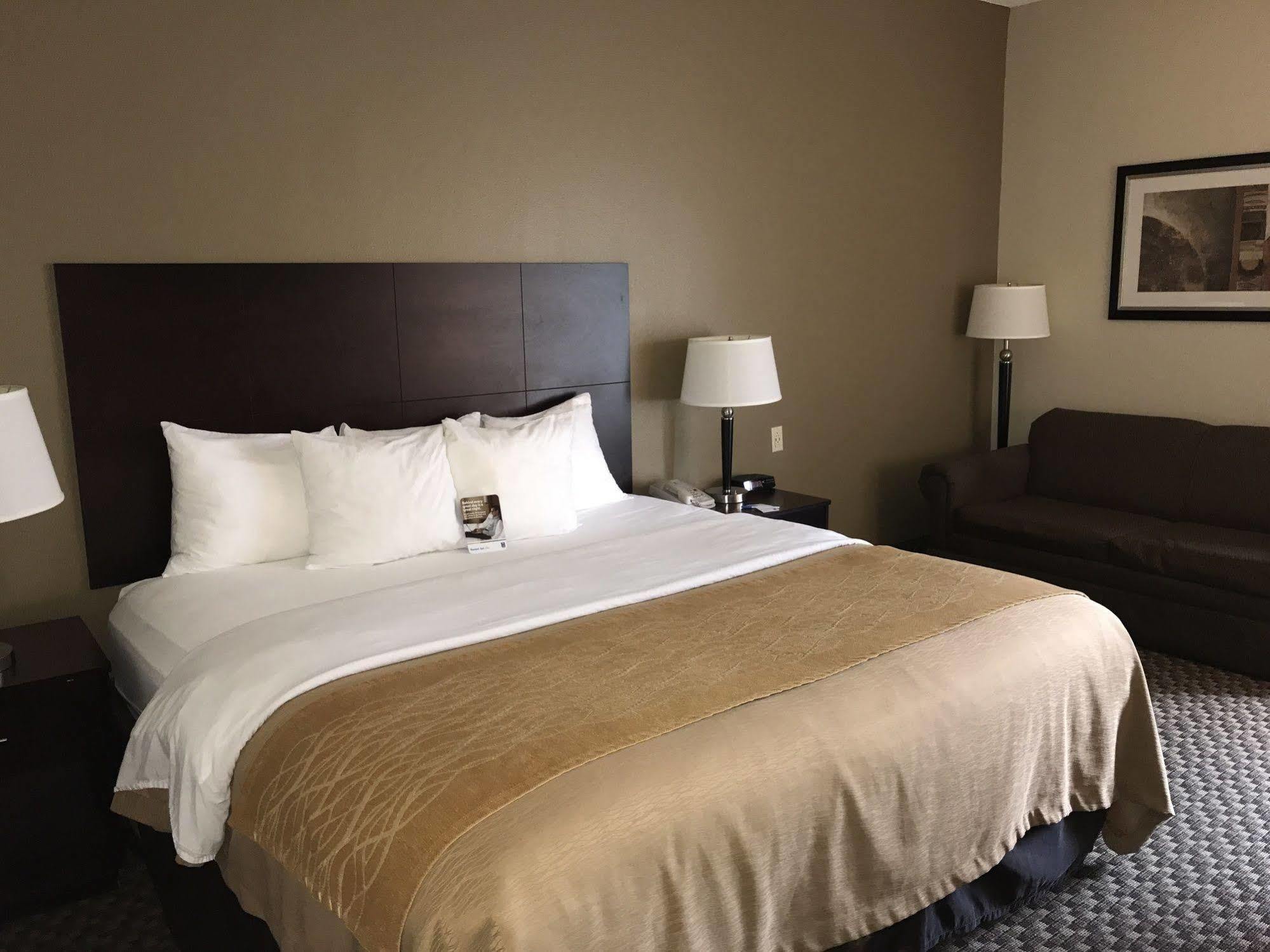 הורן לייק Comfort Inn מראה חיצוני תמונה
